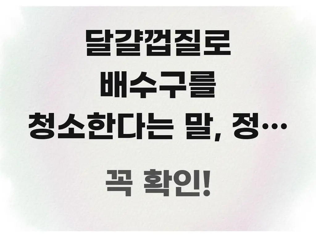 달걀껍질로 배수구를 청소한다는 말, 정말 효과가 쉽게 따라할 수 있는 핵심 요약 디자인 카드 - 독자 이해를 위한 이미지