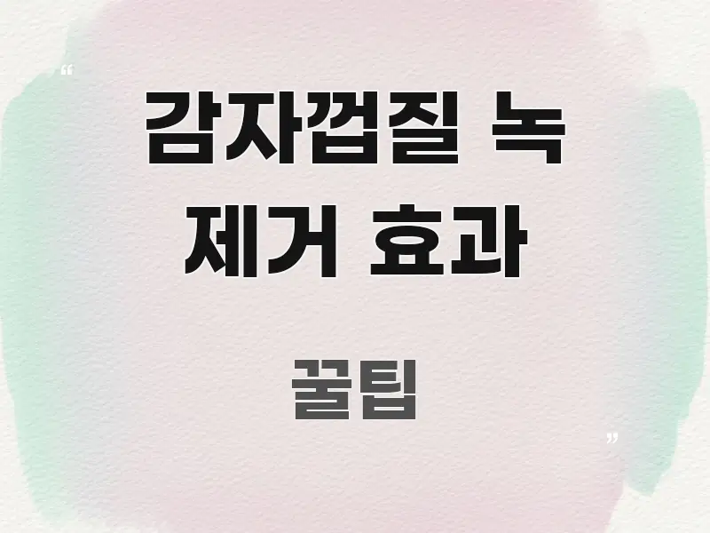 감자껍질 녹 제거 효과 심플하고 명확하게 정리한 깔끔한 인포그래픽 표지