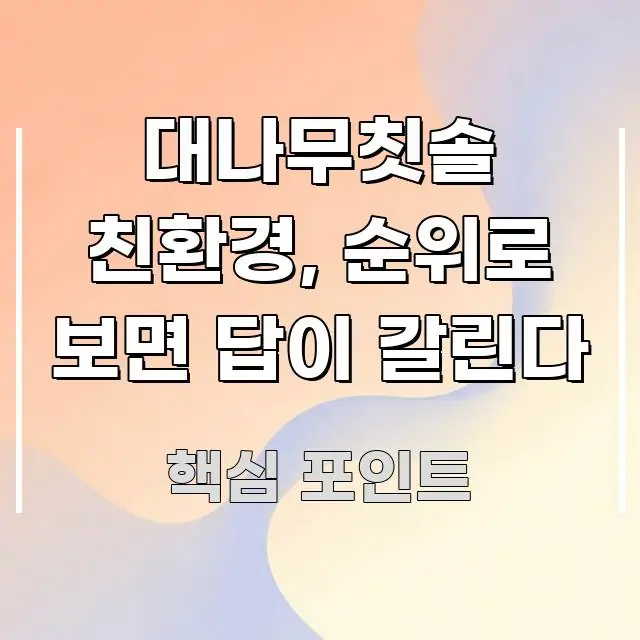 대나무칫솔 친환경, 순위로 보면 답이 갈린다 요점만 뽑아낸 핵심 정보 비주얼